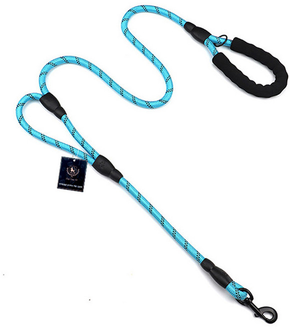 딩동펫 강아지 안전고리 간편 리드줄, 블루, 1개