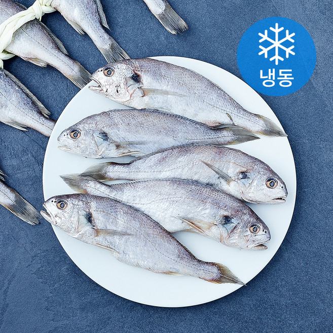 영광 백조기 오가 특대 굴비 10미 (냉동), 1개, 1.8kg