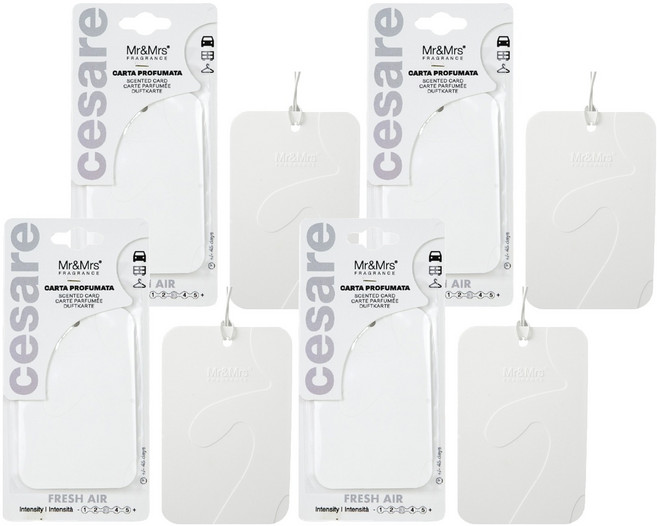미스터앤미세스 체사레 카드형 멀티 차량용 방향제, 4개, 프레쉬에어