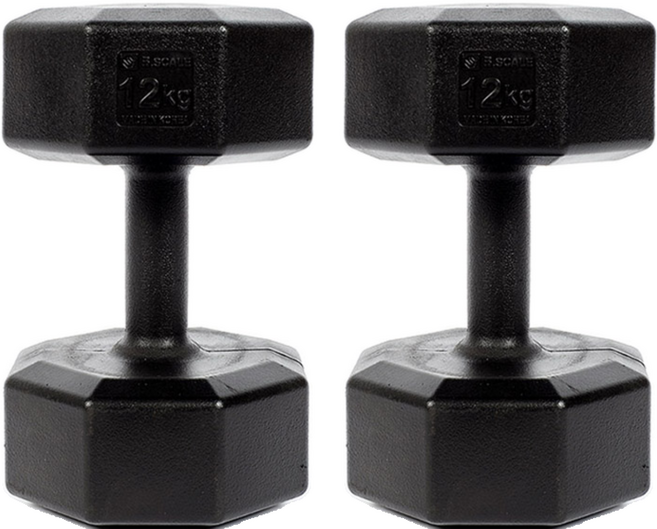 반석스포츠 K아령, 12kg, 2개