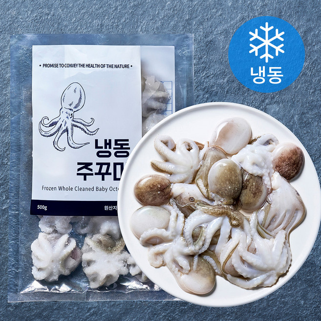 바이오션 주꾸미 (냉동), 500g(10~15마리), 1개
