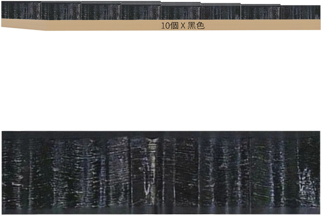 超長型滅鼠魔毯 超強力捕鼠板/黏鼠板, 10個, 1組
