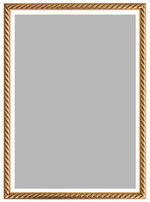 에이모노 인테리어 사진액자 A3, 트위스트16골드