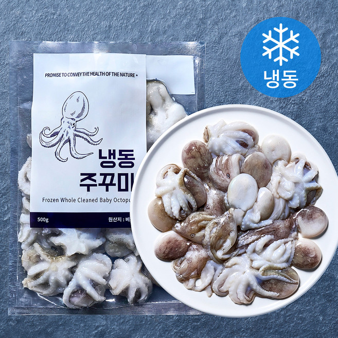 바이오션 주꾸미 (냉동), 500g(20~25마리), 1개