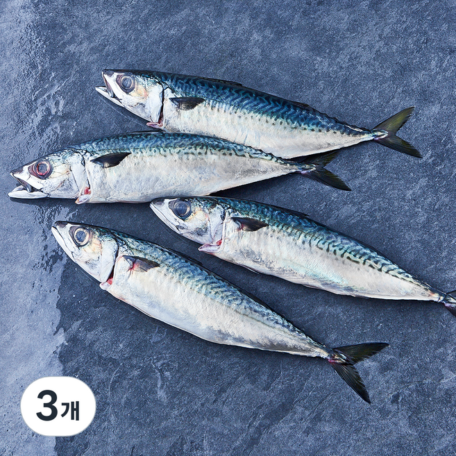 부산 간고등어 2손 해동 (냉장), 3개, 900g(대)