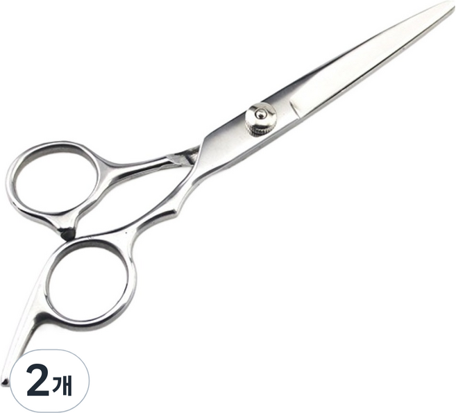 딥톡 머리카락 헤어 커트 미용 가위 DT0754, 2개, 실버