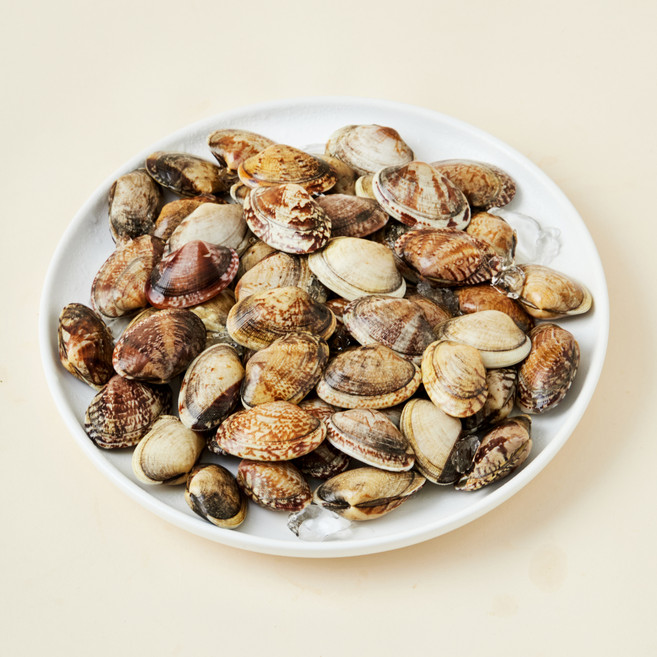 남해안 산지직송 자연산 생물 왕바지락 (냉장), 1.5kg, 1개