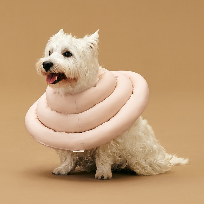 동원아르르 UFO 넥카라, 미스티로즈, 1개