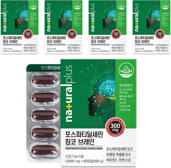 내츄럴플러스 포스파티딜세린 징코 브레인 60g, 60정, 5개 - 쿠팡