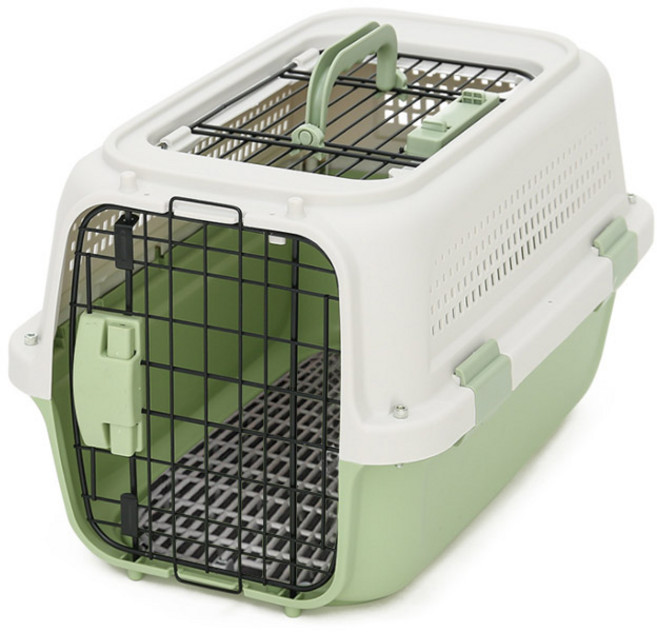 딩동펫 반려동물 파스텔 켄넬, 그린, 1개