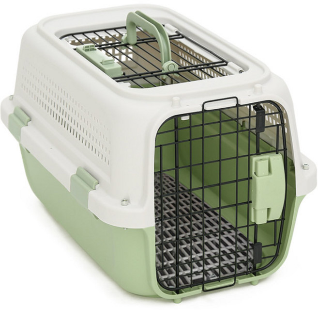 딩동펫 파스텔 켄넬 하드캐리어, 그린, 1개