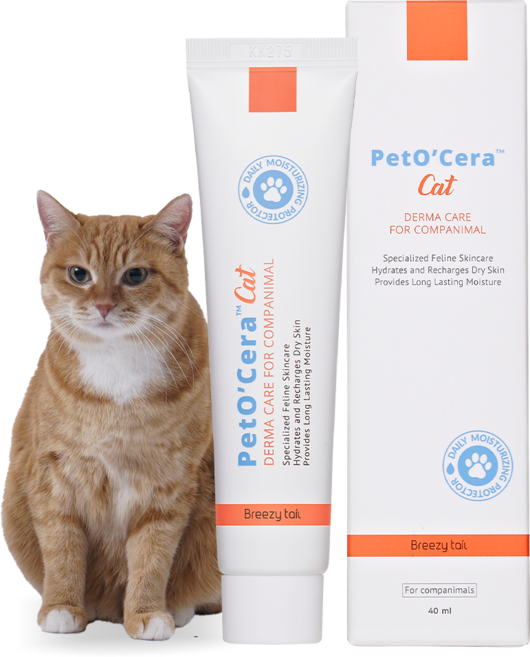 페토세라 고양이 저자극 보습 진정 피부연고, 40ml, 1개