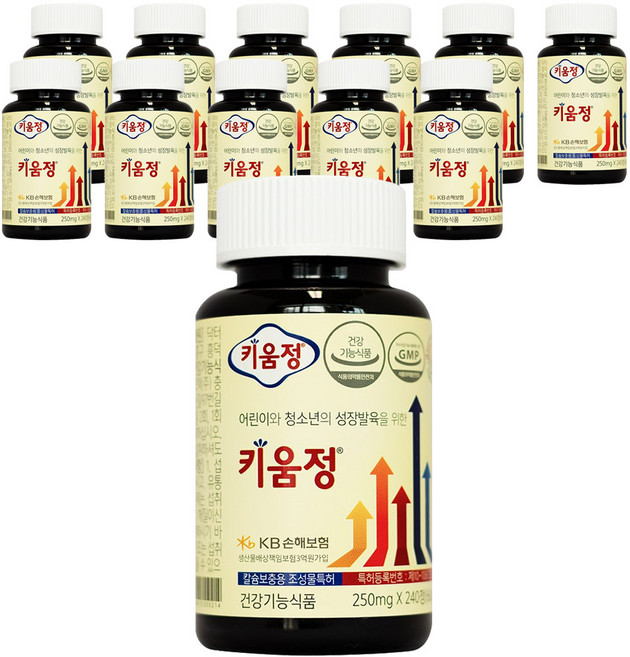 키움정, 240정, 12개