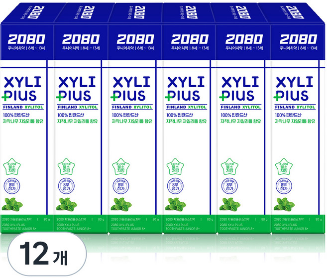 2080 주니어 자일리 플러스 자일리톨 치약, 80g, 12개