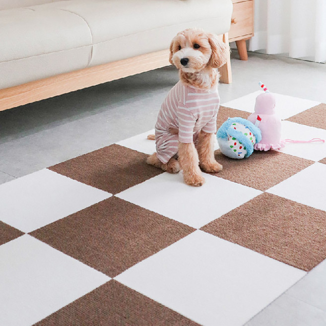 딩동펫 애견 미끄럼방지 매트, 브라운, 10개