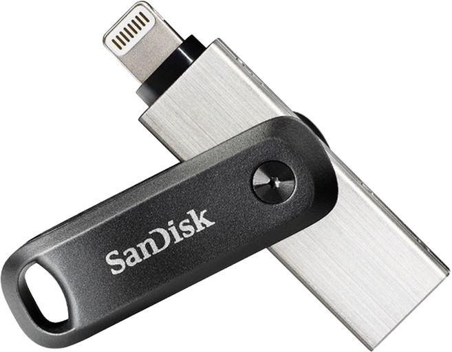 SanDisk 晟碟 iXpand Go 雙用隨身碟 iPhone and iPad適用, 256GB, 1個