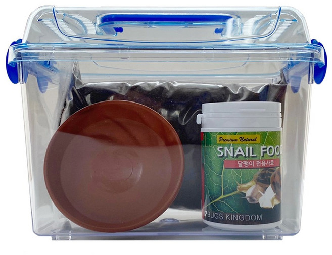 벅스프린스 달팽이 초급자 사육세트, 1세트, 클린