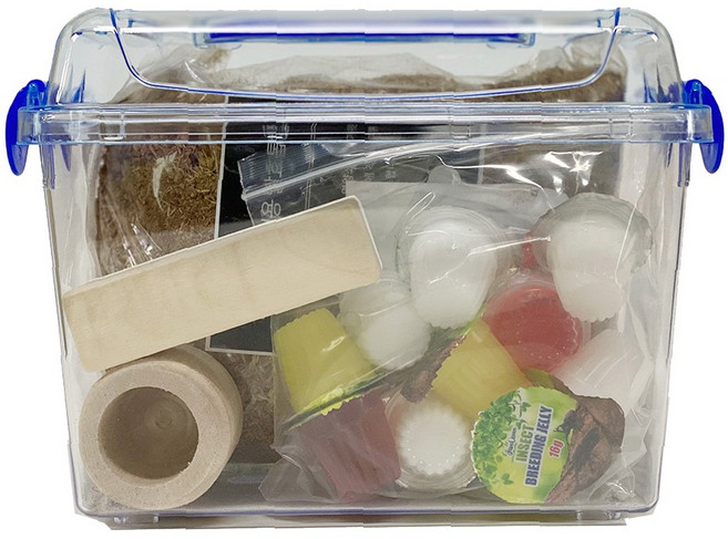 벅스프린스 반려동물 장수풍뎅이 초급자 사육세트, 클린, 1개