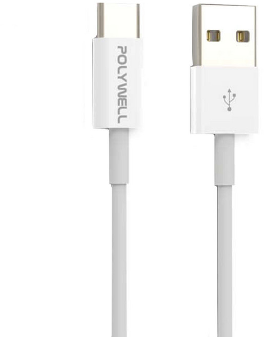 POLYWELL 寶利威爾 Type-A-Type-C 安卓快充線 PW15-W45-A173, 1條