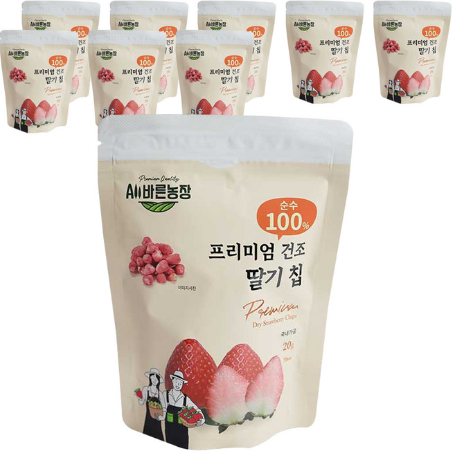 All바른농장 프리미엄 동결건조과일 딸기 칩, 20g, 9개