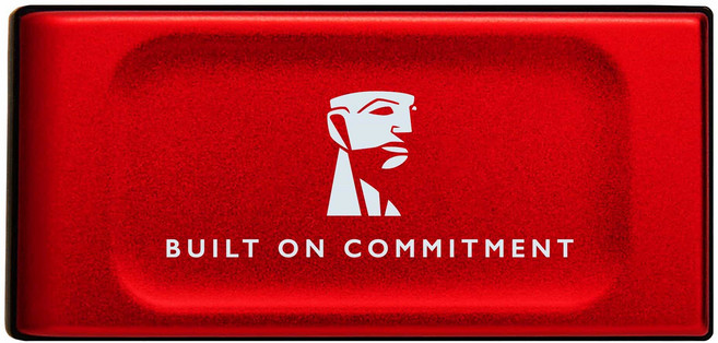 Kingston 金士頓 新版 行動固態硬碟 XS1000R, 1TB, 紅色