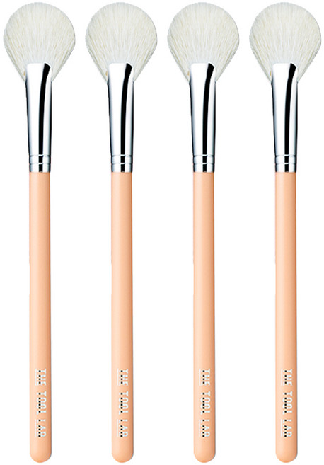 더툴랩 블러셔 팬 브러쉬 160, 혼합색상, 4개