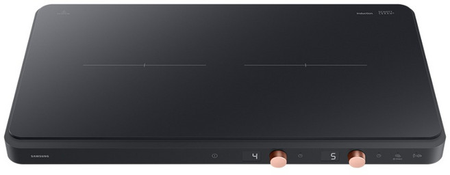 삼성전자 더 플레이트 인덕션 2구 블랙, NZ62DG300CFK, 일반형