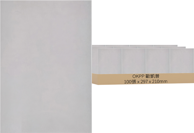 OKPP 歐凱普 彩繪圖畫紙 120P, 100張