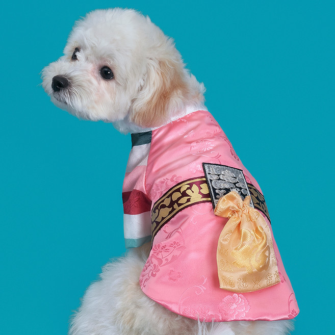 도그아이 반려동물 남아 선경단한복, 연지핑크, 1개