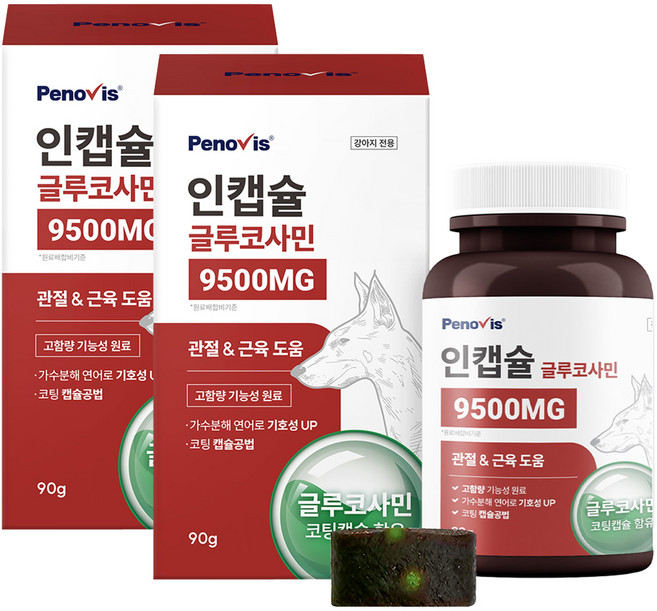 페노비스 강아지 인캡슐 글루코사민 영양제, 90g, 뼈/관절강화, 2개