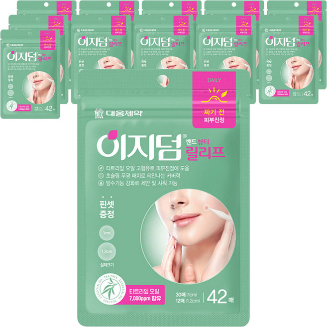 이지덤 밴드 뷰티 릴리프 스팟패치, 42개입, 12개
