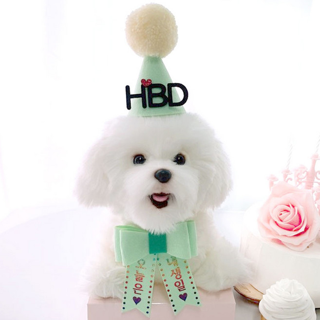 핑크캔디 강아지 생일파티 고깔 + 리본화환 세트, 민트, 1세트