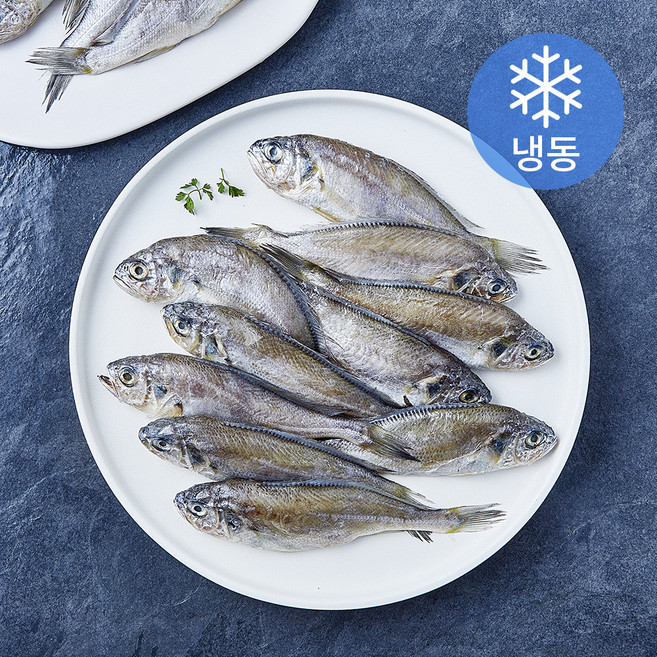 대용량 영광굴비 (냉동), 1개, 1kg