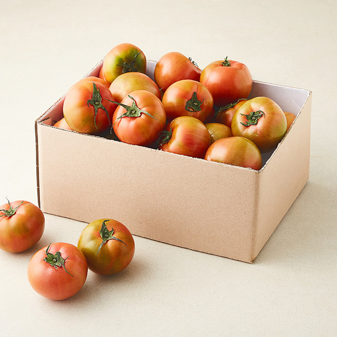 곰곰 대저 토마토, 1개, 2.5kg