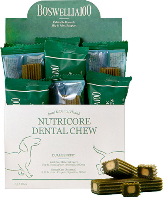 닥터뉴트리코어 강아지 가수분해 덴탈껌, 관절/덴탈케어, 180g, 1개