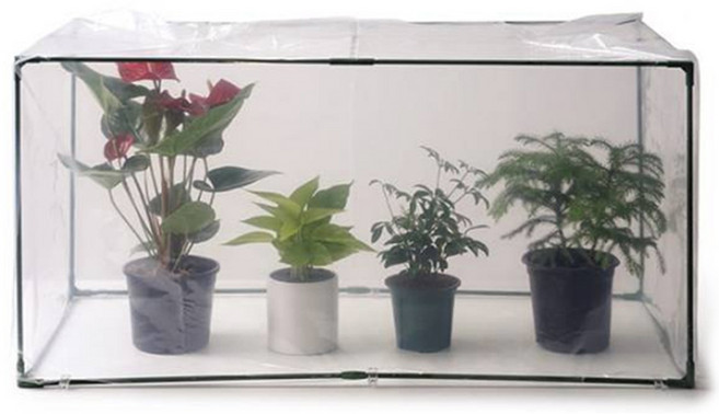미니그린 온실세트 대형 95 x 48 x 48 cm, 1세트