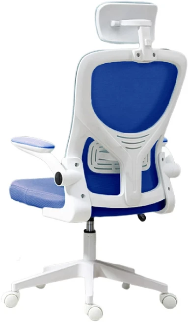人體工學辦公椅 乳膠頭靠款, 藍色