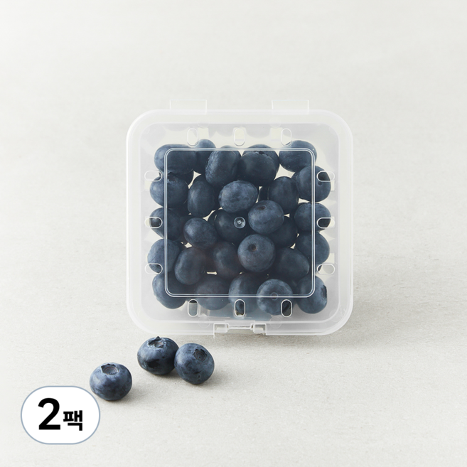곰곰 유기농 블루베리(대과), 100g, 2팩
