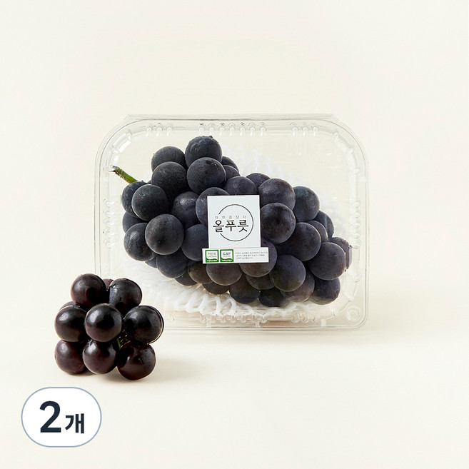 올푸릇 저탄소 거봉, 500g, 2개