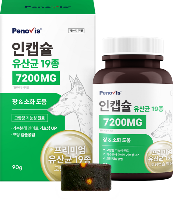 페노비스 강아지 인캡슐 영양제, 90g, 장건강/유산균, 1개