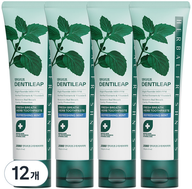 2080 덴티리프 구취케어 치약, 120g, 12개
