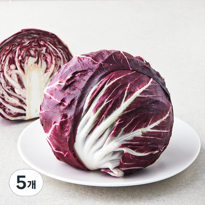 국내산 라디치오, 290g, 1입, 5개