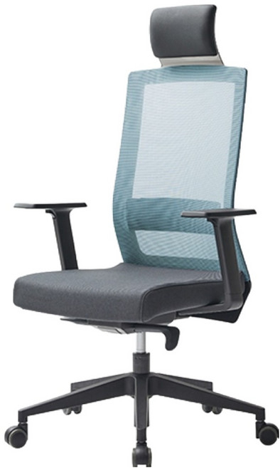 듀오백 스퀘어 사무용 메쉬의자 DQ-HLJA-C, 블루