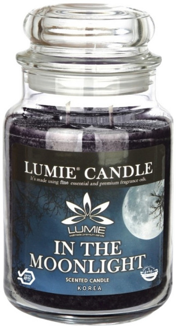 르미에 라지자 캔들, 인더문라이트, 570g, 1개