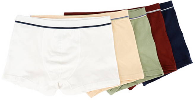 스타일컨택트 남아용 사각드로즈 팬티 5종 세트