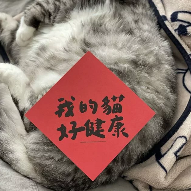 GUOHOUSE STUDIO 郭公館工作室 春聯, 我的貓好健康 紅色