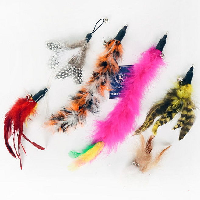 딩동펫 고양이 낚싯대 리필 깃털 6종 세트, A, 1세트