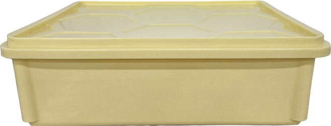 AHA 一法 小發酵箱 附蓋 41.5 x 31.5 x 12.5cm 米色, 容器 + 蓋子, 1組