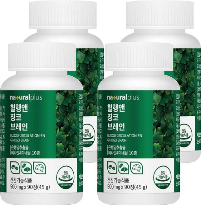 내츄럴플러스 혈행엔 징코 브레인 45g, 90정, 4개