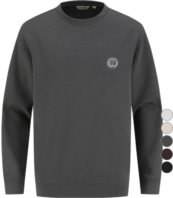 ZIOZIA 雙面針織圖案大學T AEF4TR1102